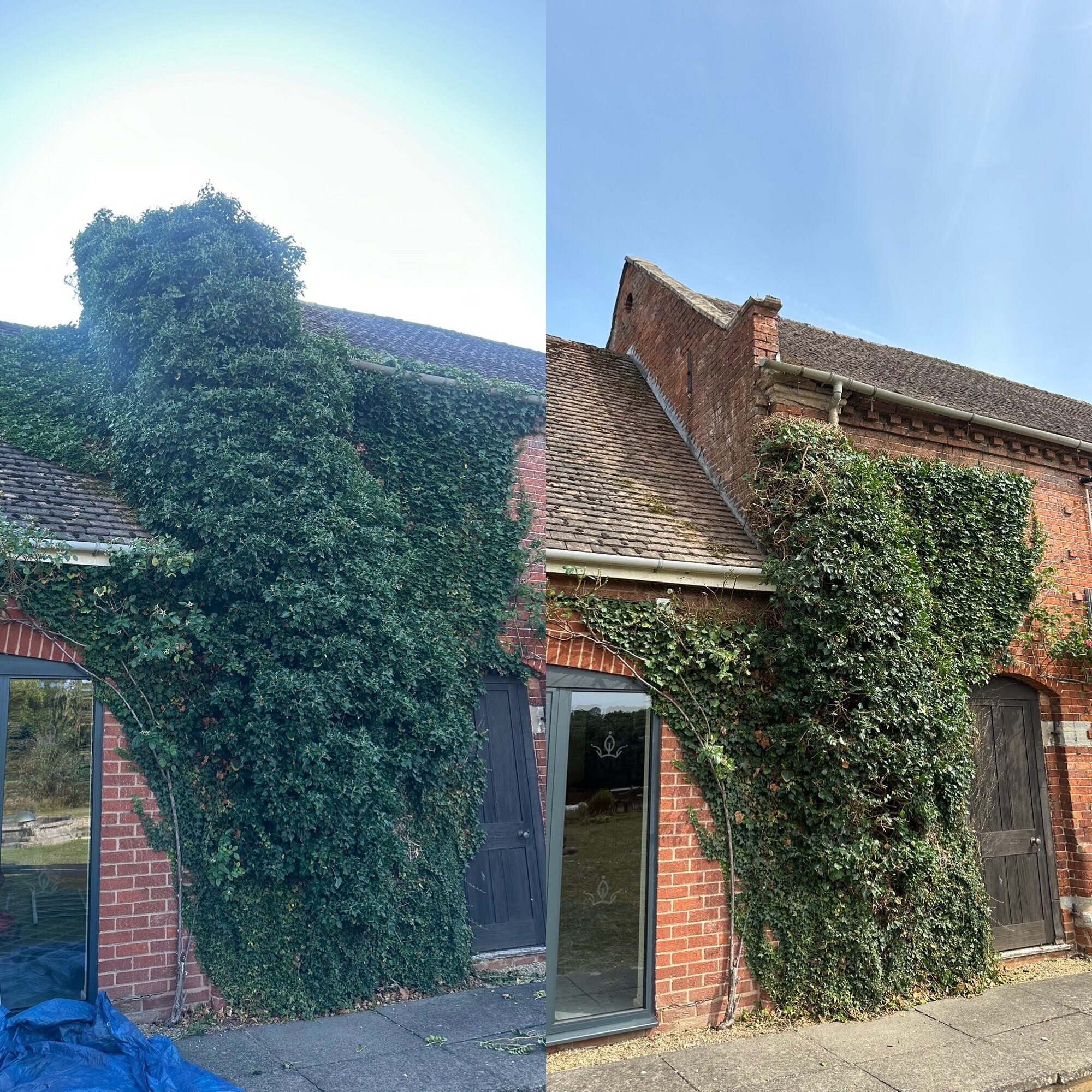 Images Trident Tree Solutions Ltd.