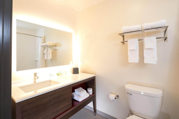 Images Holiday Inn & Suites Detroit - Troy by IHG
