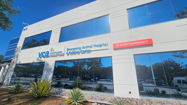 Images VCA Emergency Animal Hospital & Referral Center