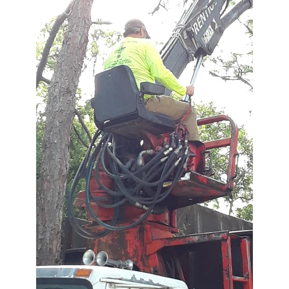 Climbin For Christ Tree Services and Bee Removal