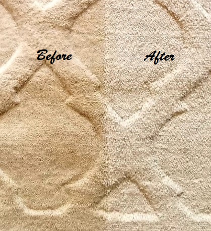 Leona's Carpet, Tile, & Upholstery Cleaning Photo