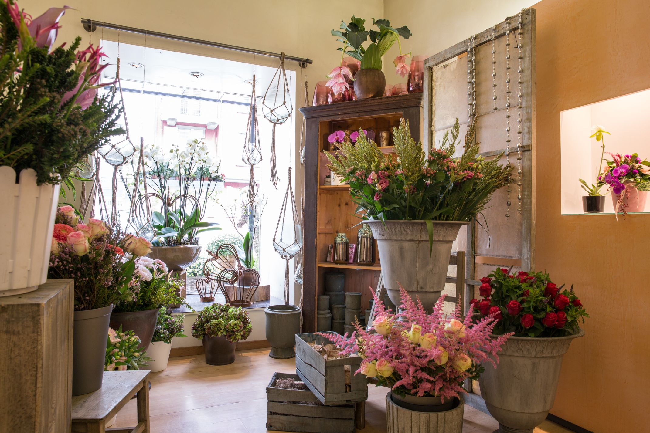 Bilder Blumenhaus Wiedikon