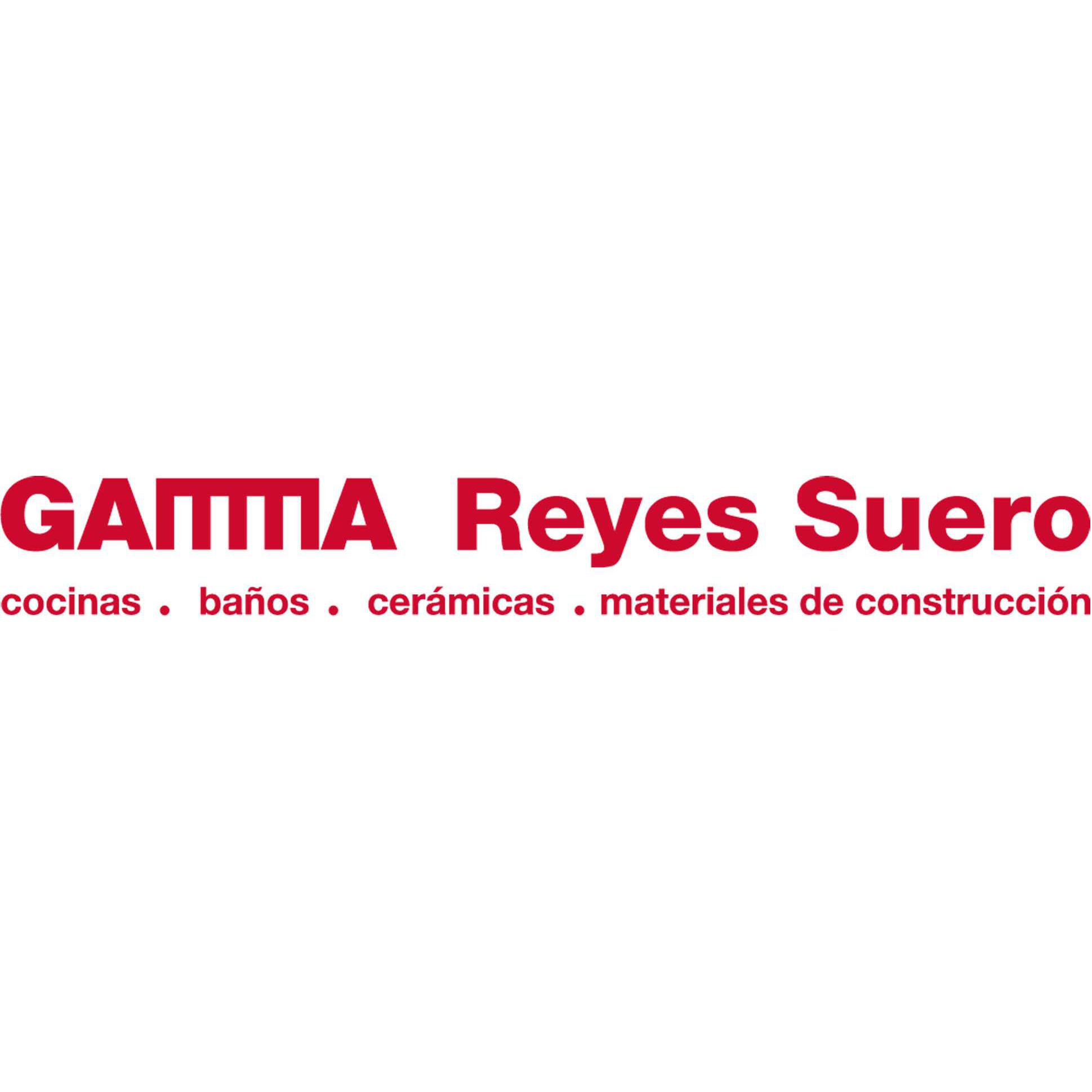 Reyes Suero - Grupo Gamma Logo