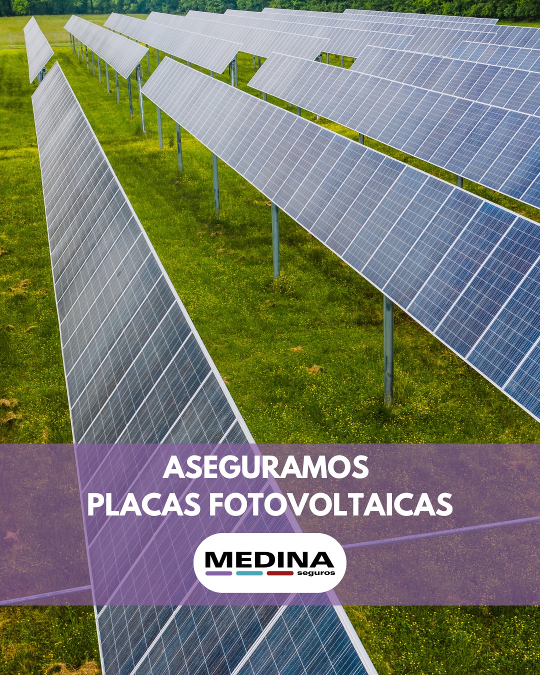 Images Helvetia Jaén