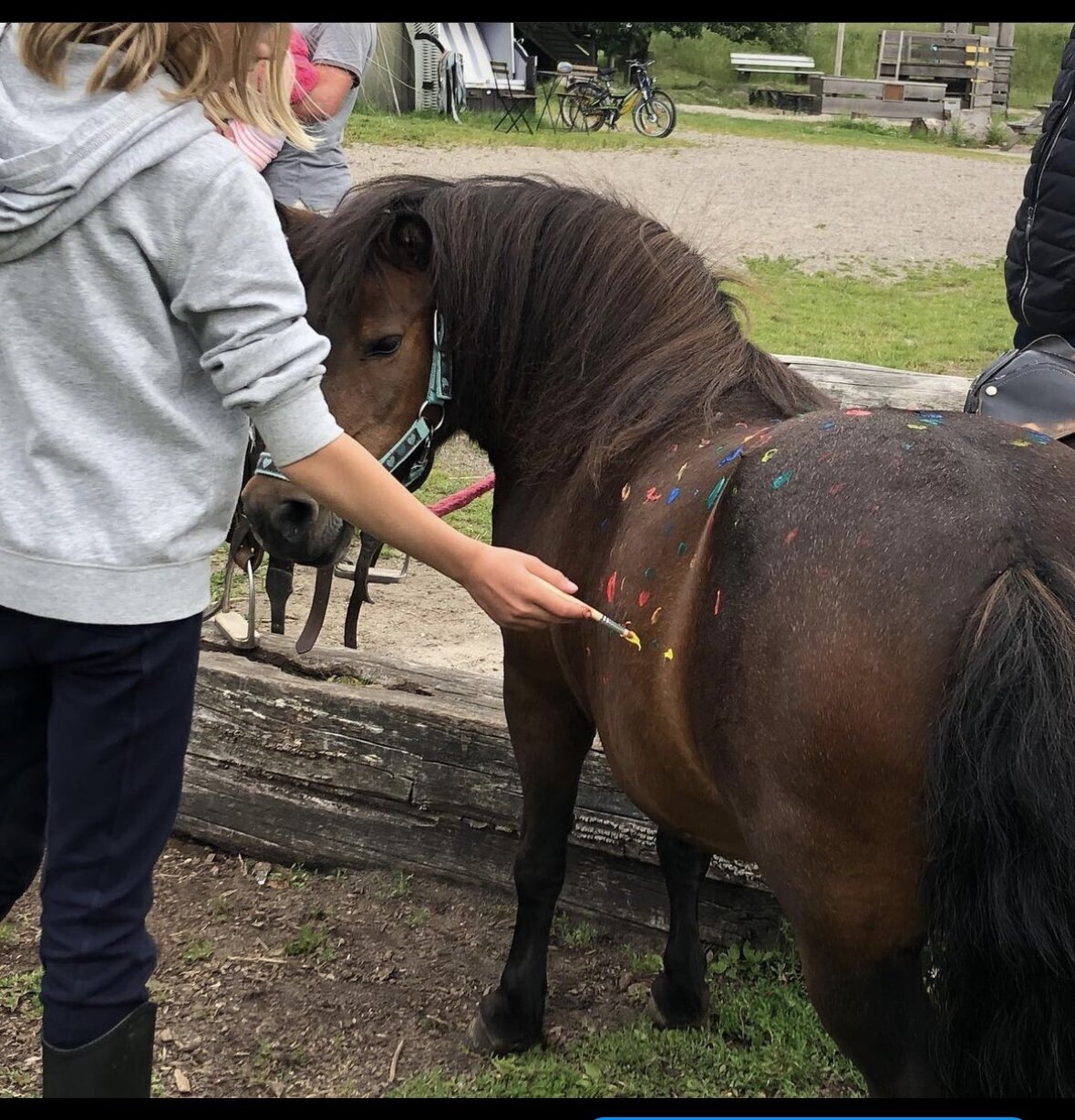 Strandhof Holnis, Holnisser Noorstraße 2 in Glücksburg (Ostsee)