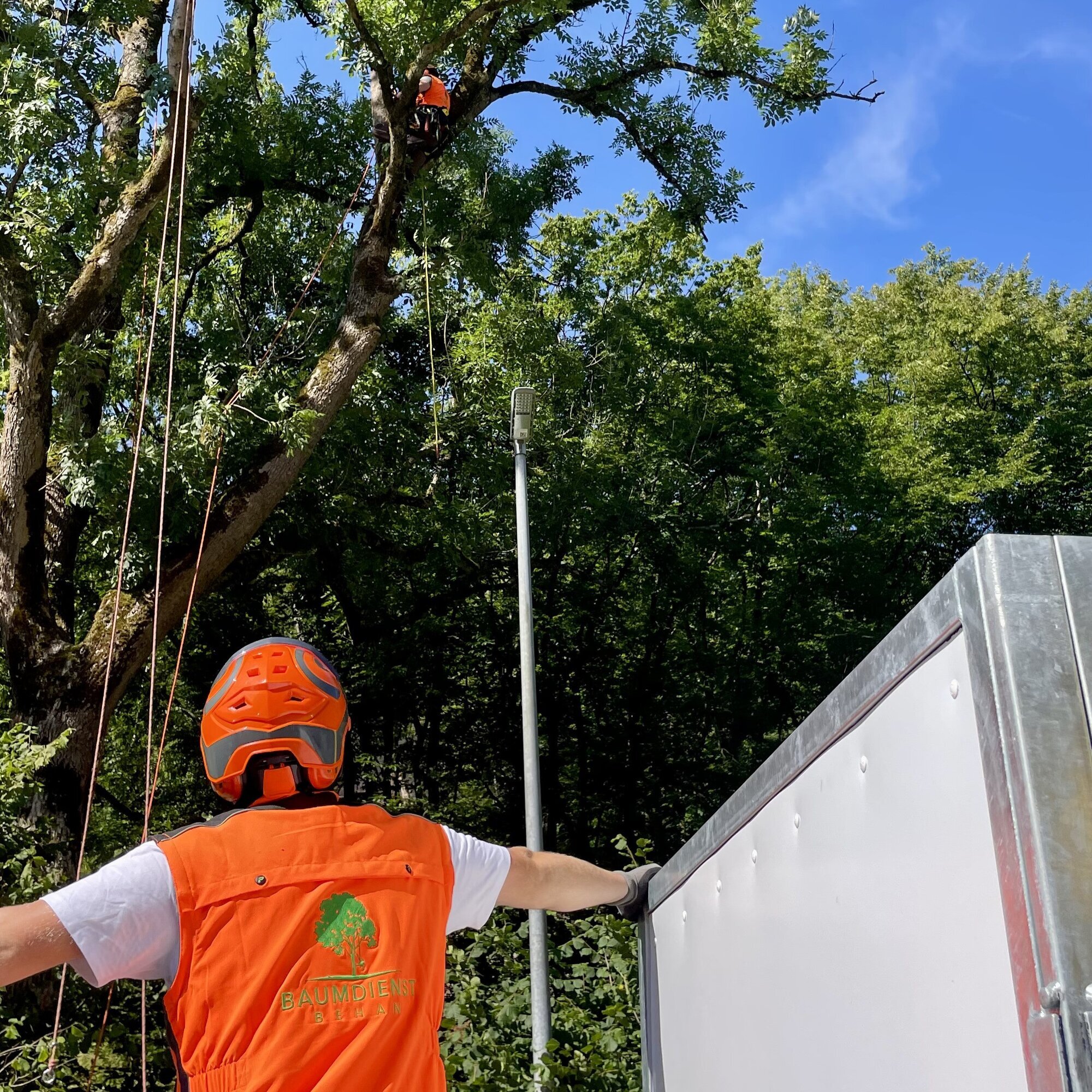 Baumdienst Behan, Im Winkel 22 in Schalksmühle