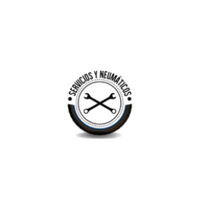 Neumáticos del Milenio Apizaco Logo