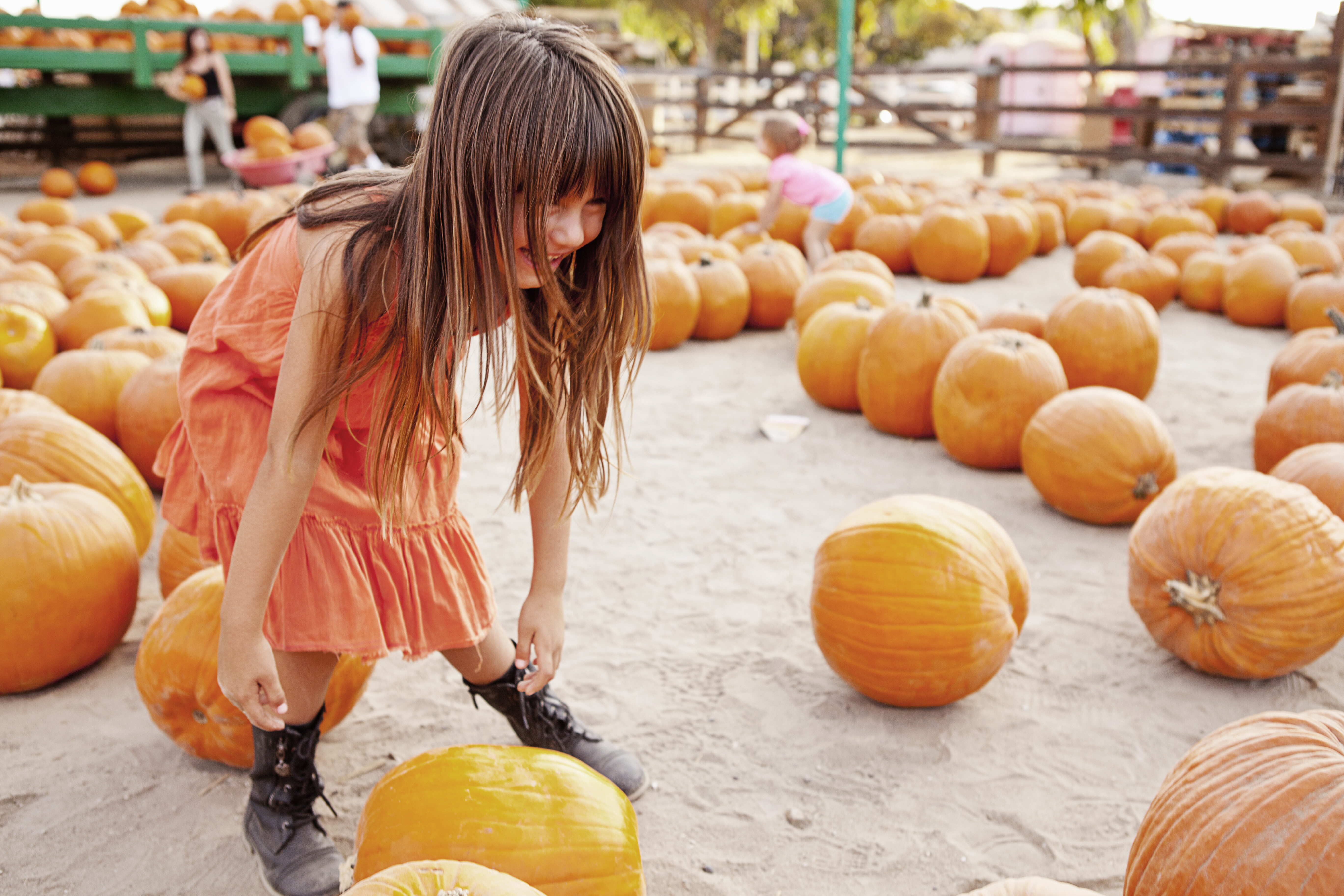 A young girl picking out giant carving pumpkins in a open-air patch, ideal for family photos, youth outings, and seasonal traditions.