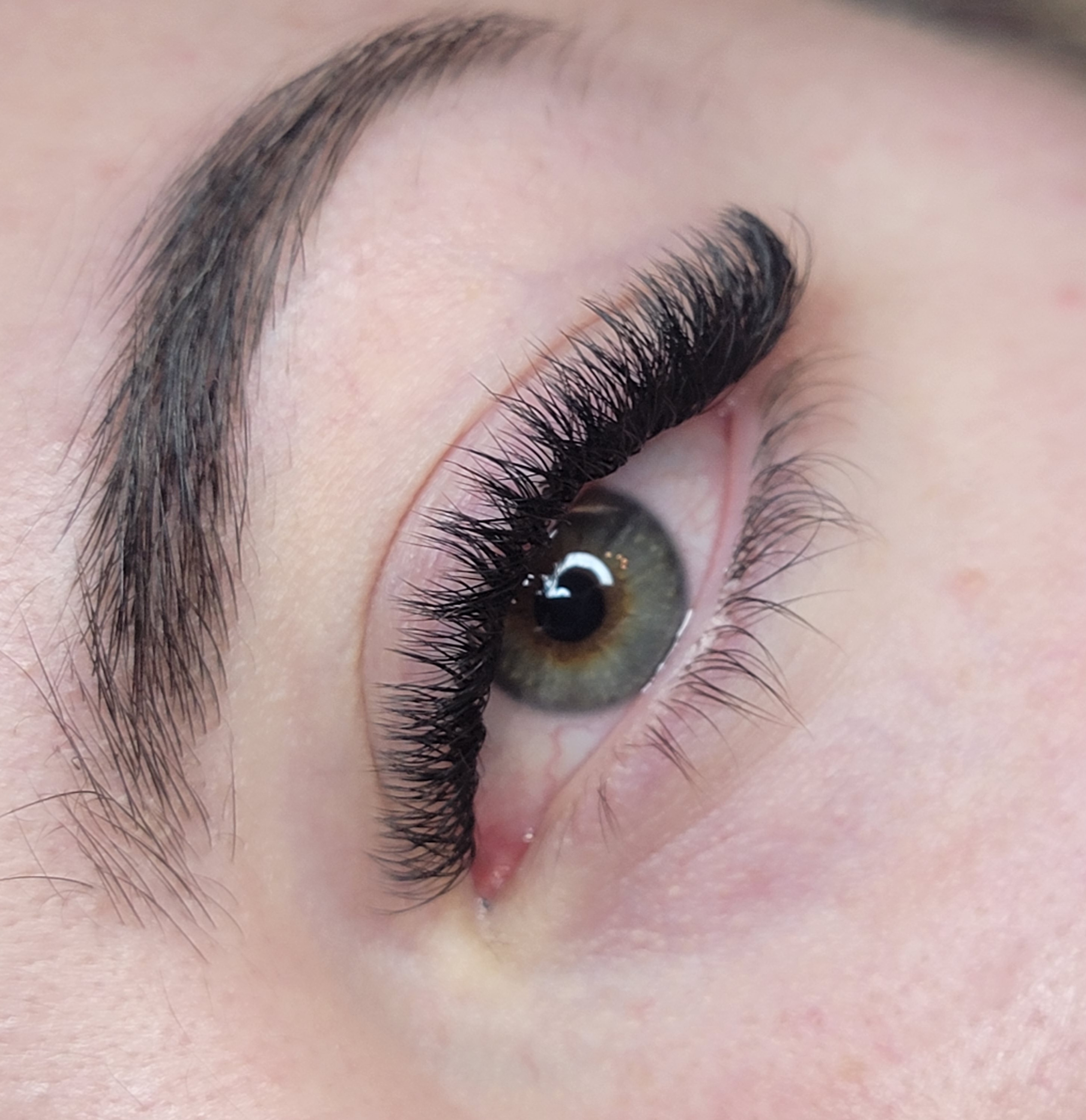 Images Lashista - Formation cils - Pose de cils - Produits de cils Longueuil