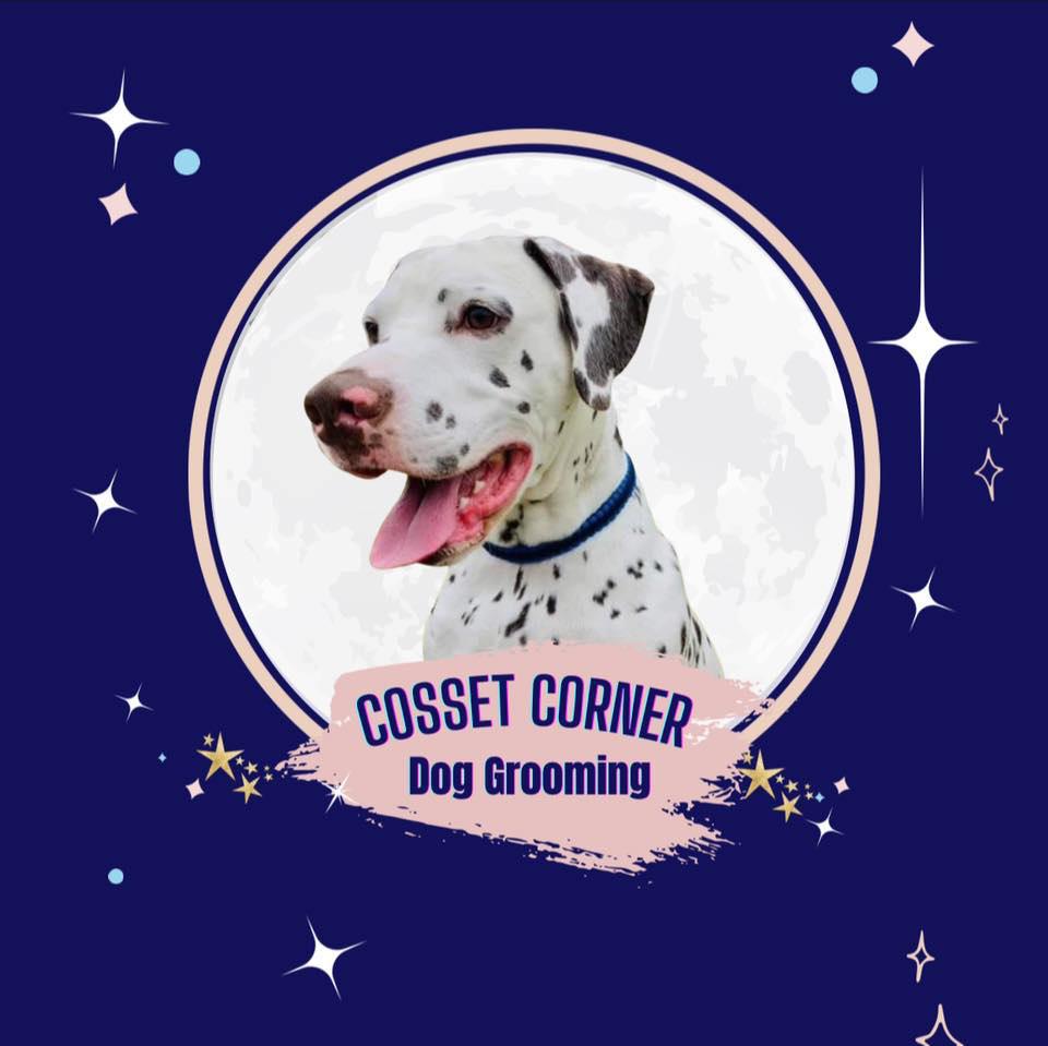Images Cosset Corner Dog Grooming