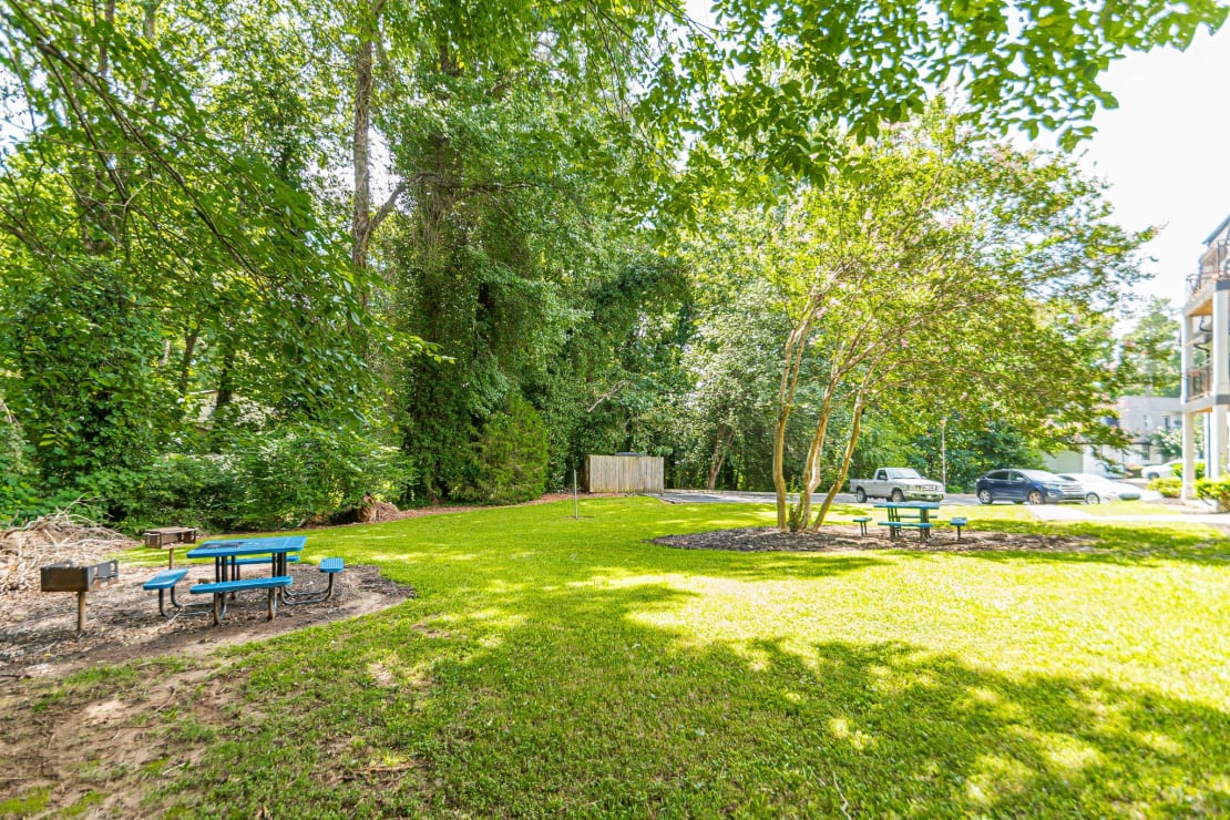 Picnic Area at Pines at Lawrenceville Apartments