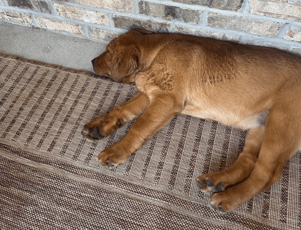 Images Bret Denney - State Farm Insurance Agent