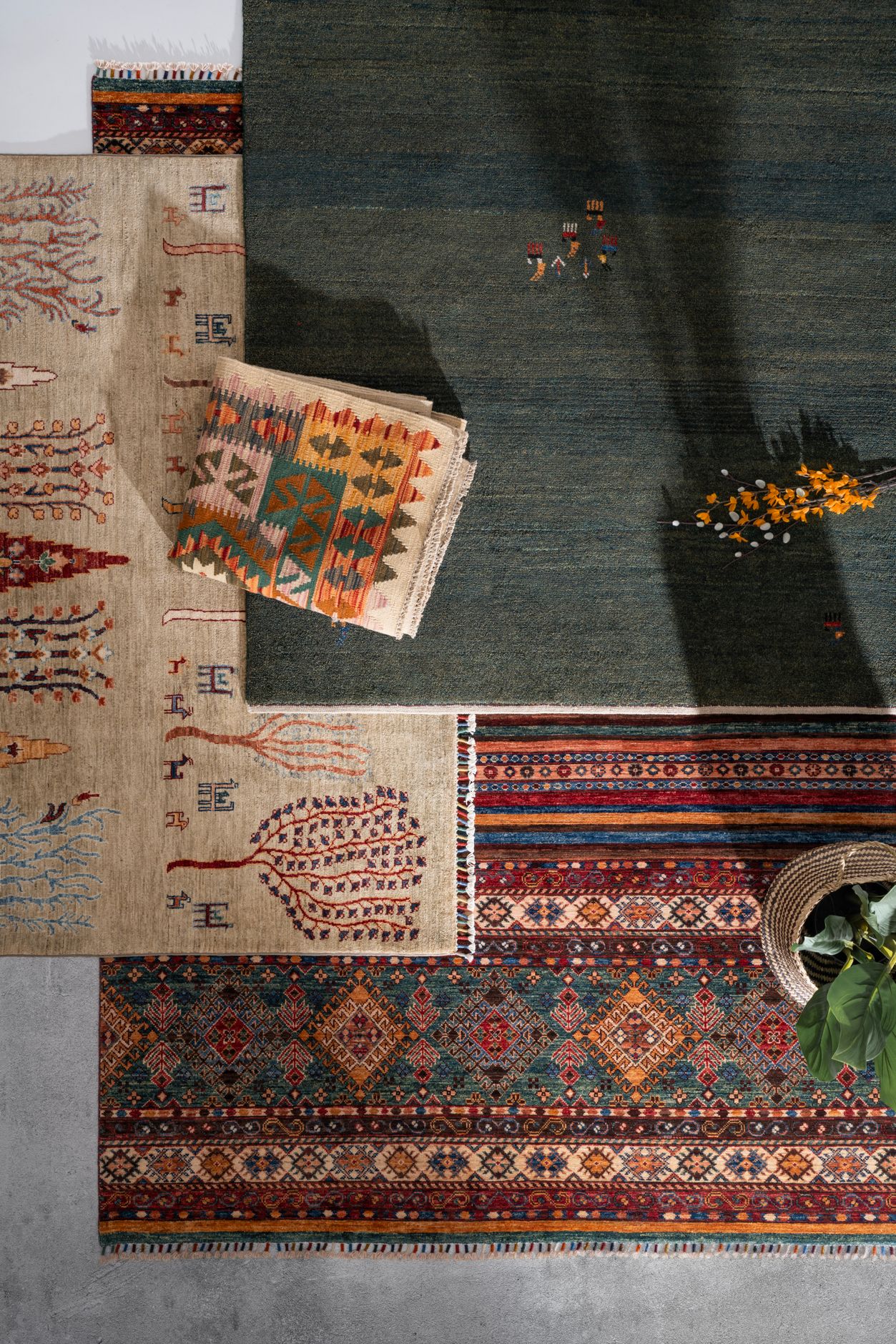 Bilder Vidal Outlet Teppiche