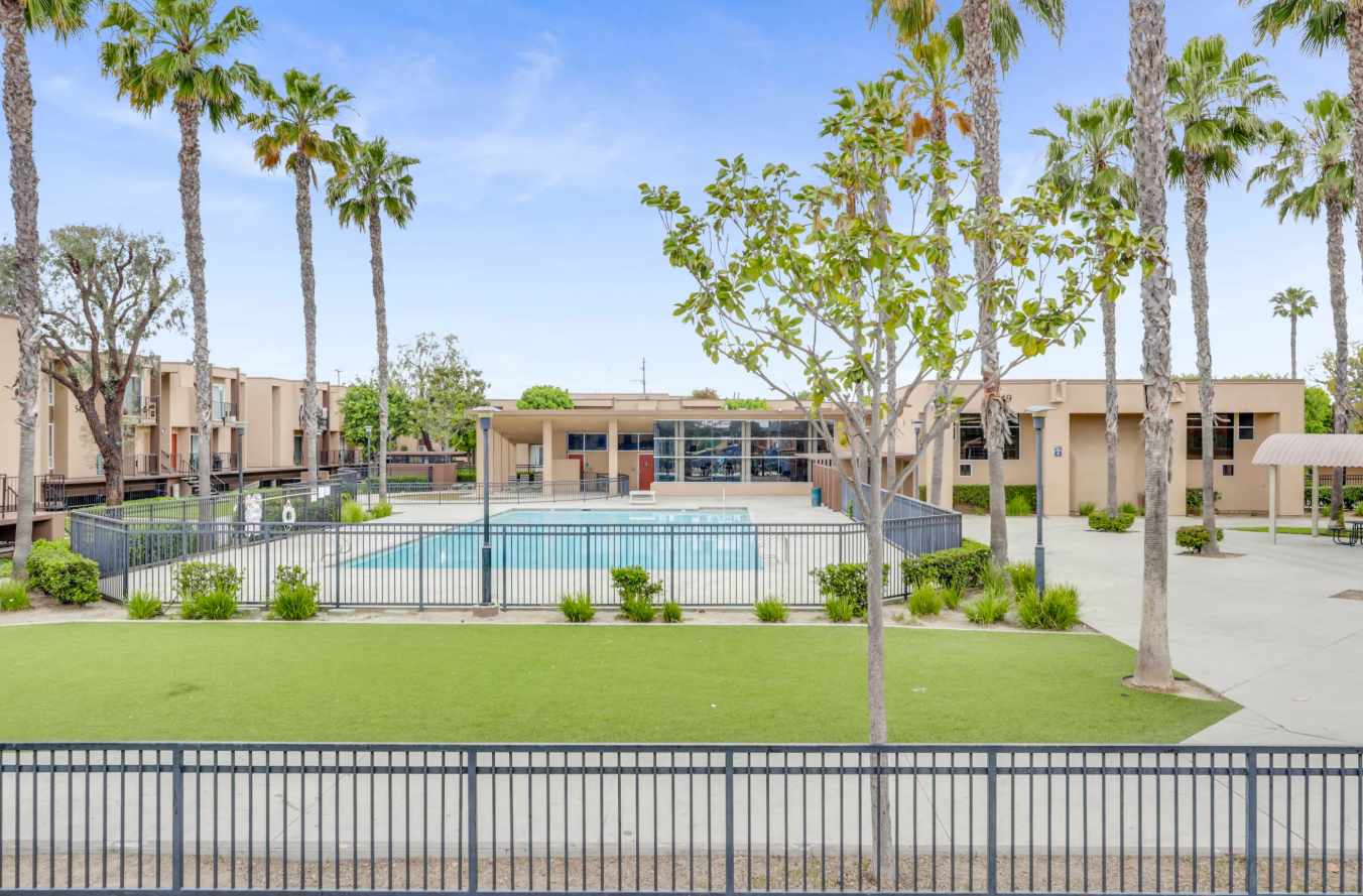 Pool surrounded by palm trees