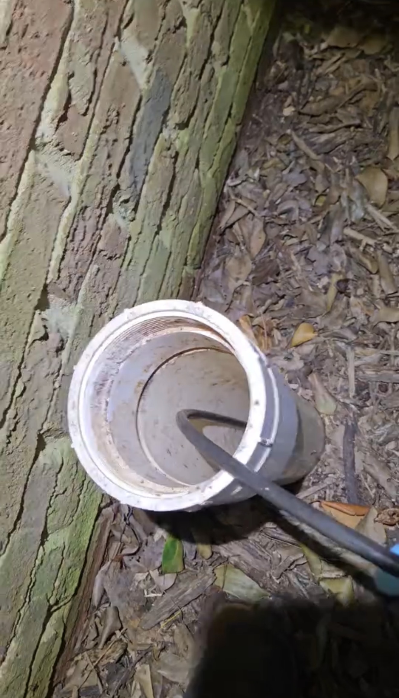 Relied Services Image