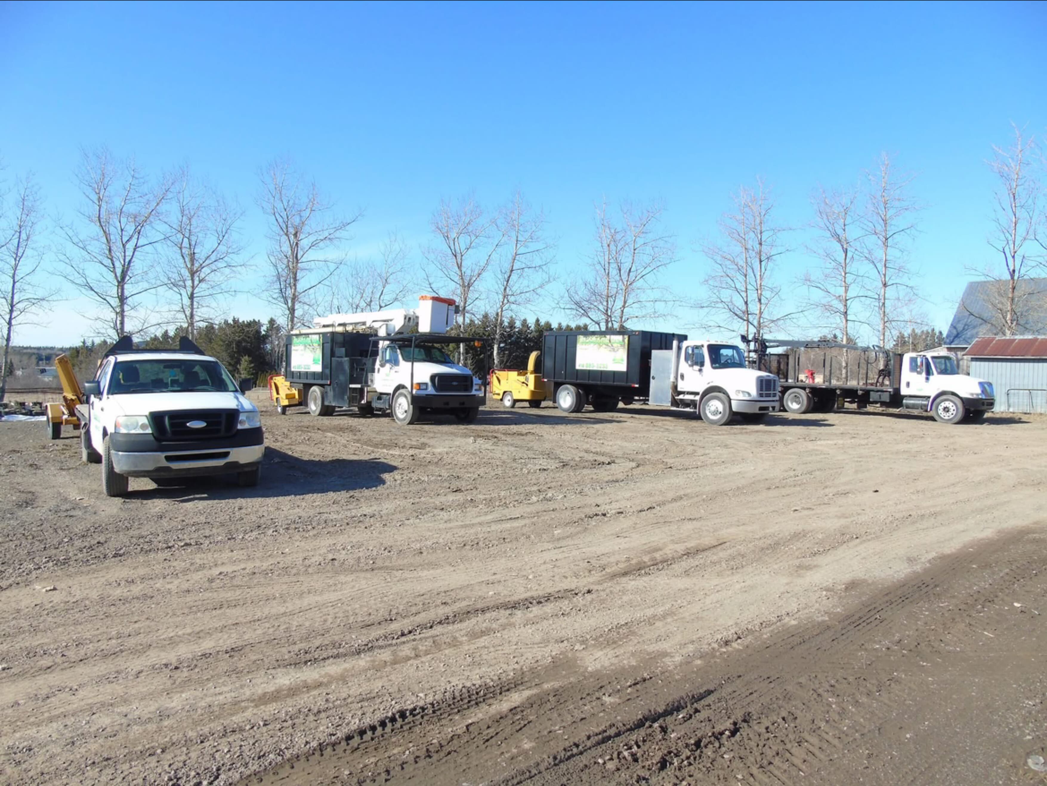 Images Élagage Bas St-Laurent