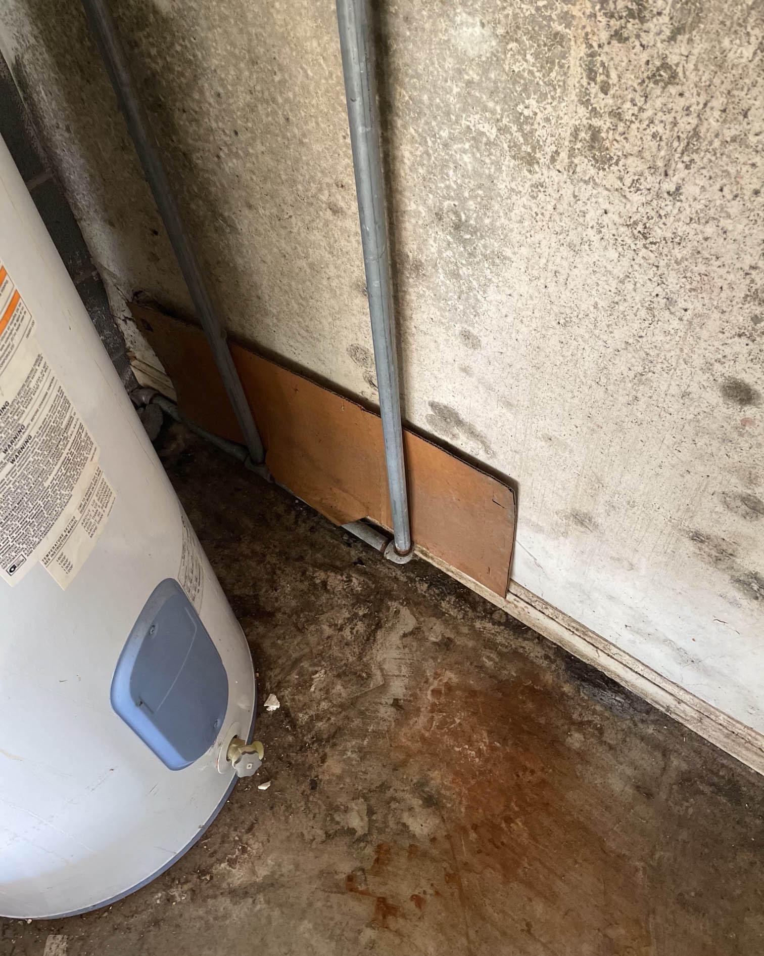 Mold can grow anywhere there is moisture! Don't try to deal with it on your own. SERVPRO of Oak Ridge can help you with any hidden moisture in your Oliver Springs, TN home. Give us a call!