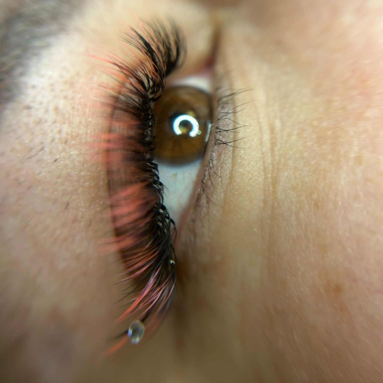 Images Claudia_beautylash