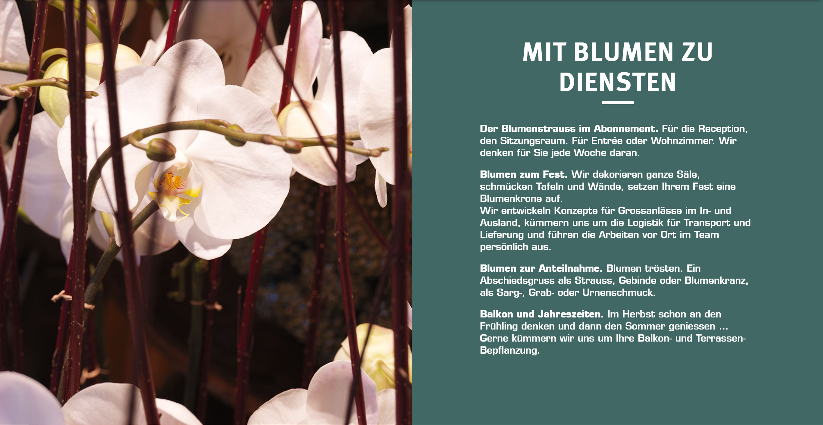 Grossenbacher Martin Blumen, Dufourstrasse 85 in Zürich