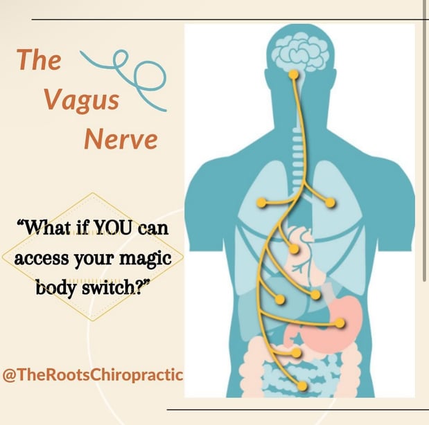 Images The Roots Health Centers