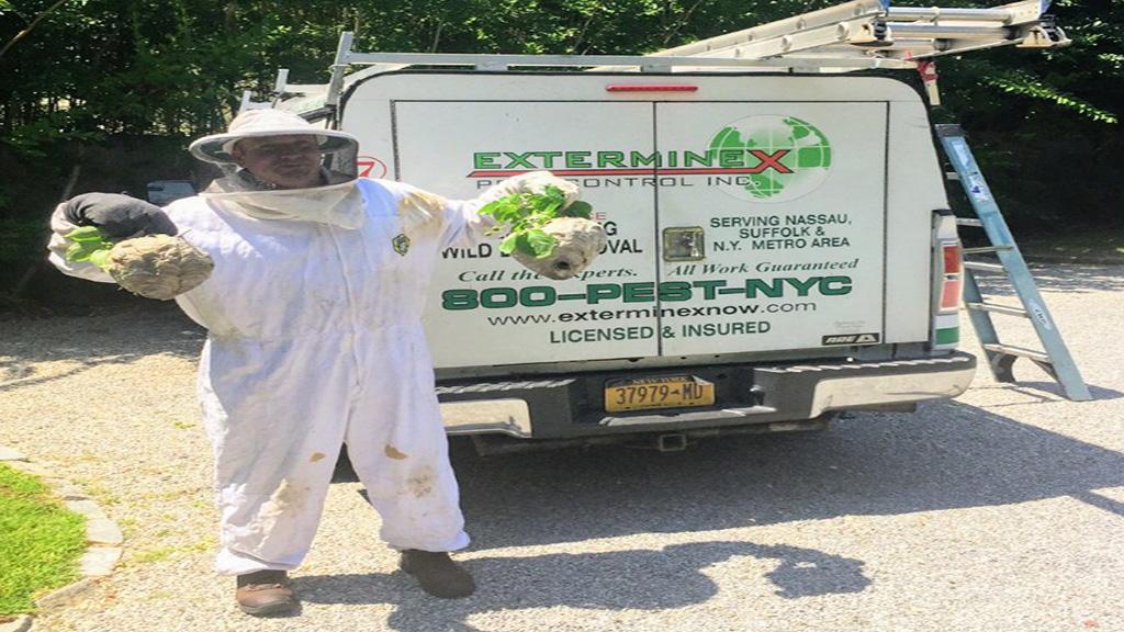 Exterminex Pest Control Inc