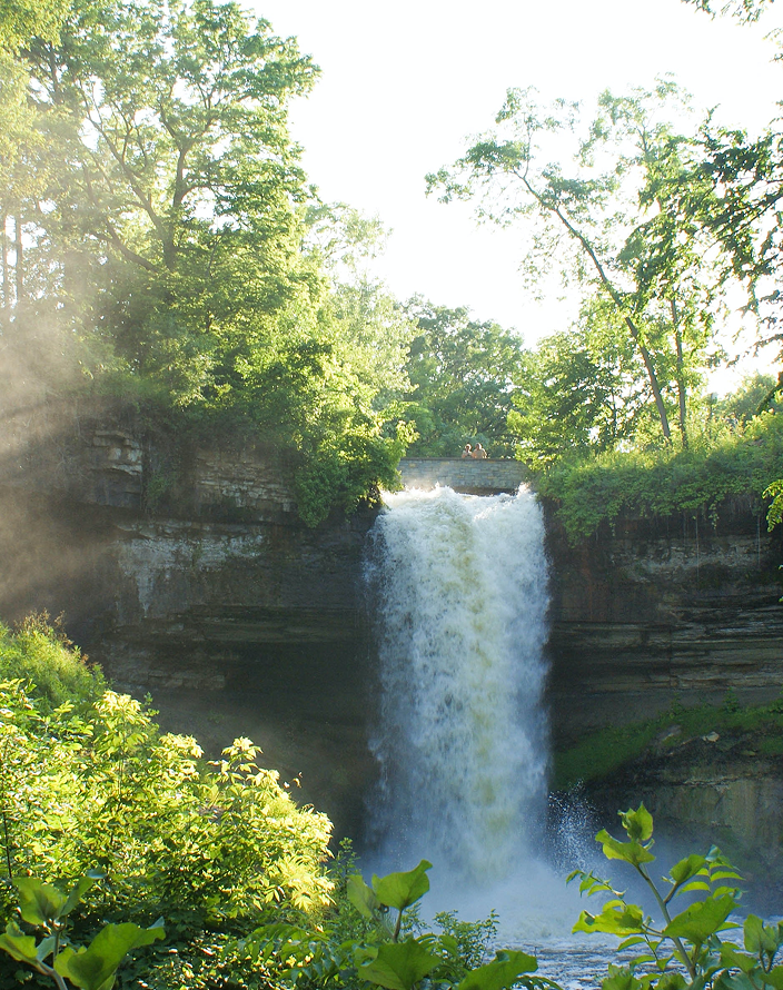 A waterfall in a forest.