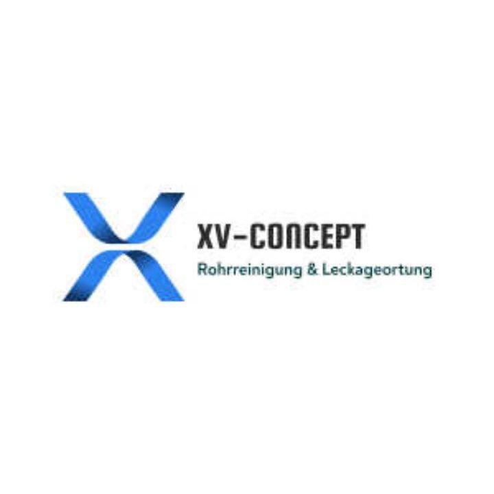 Logo xv-concept