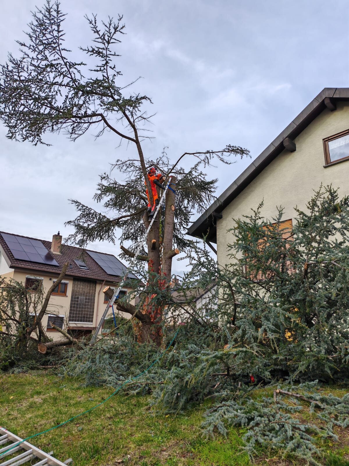 Bilder Badischer-Servicedienst