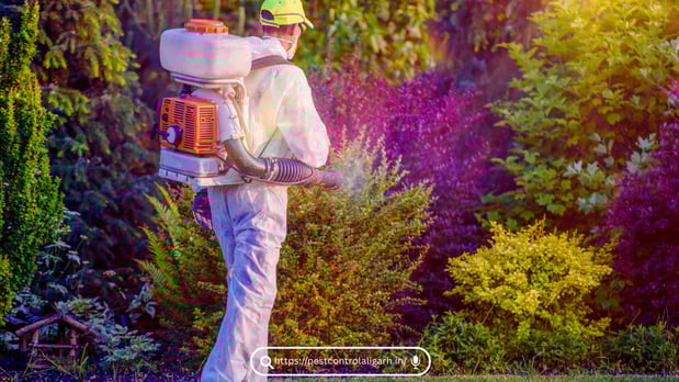 Images Pest Control Philadelphia