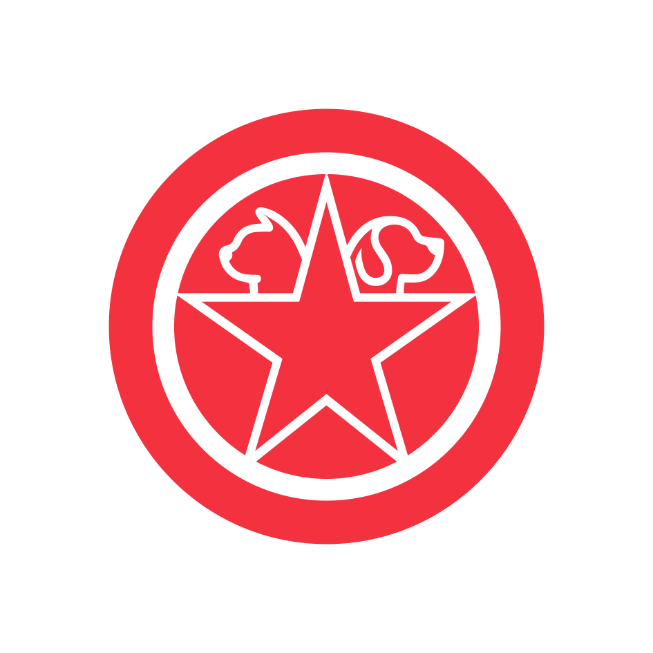 Images Animalstar