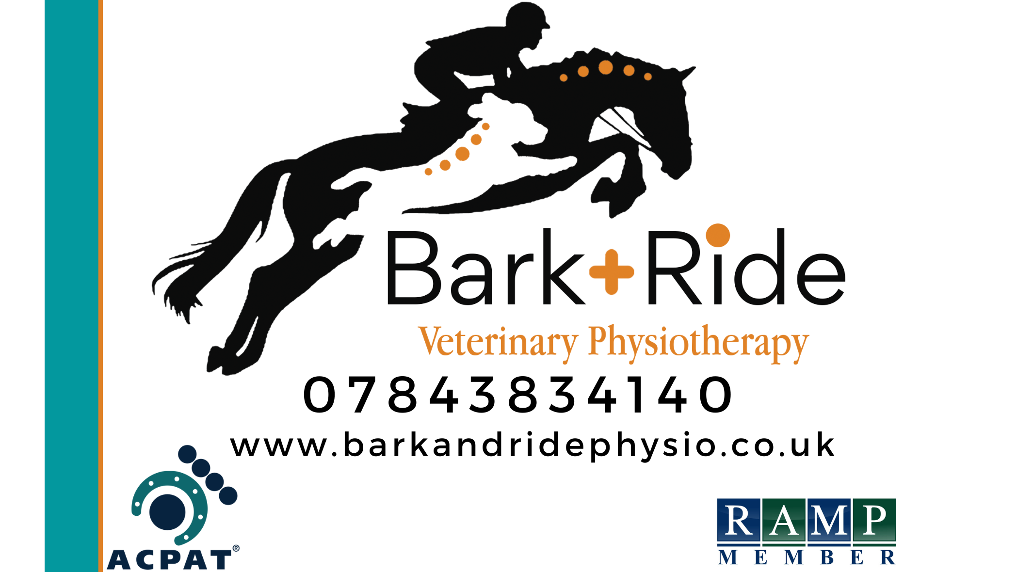 Images Bark and Ride Veterinary Physiotherapy