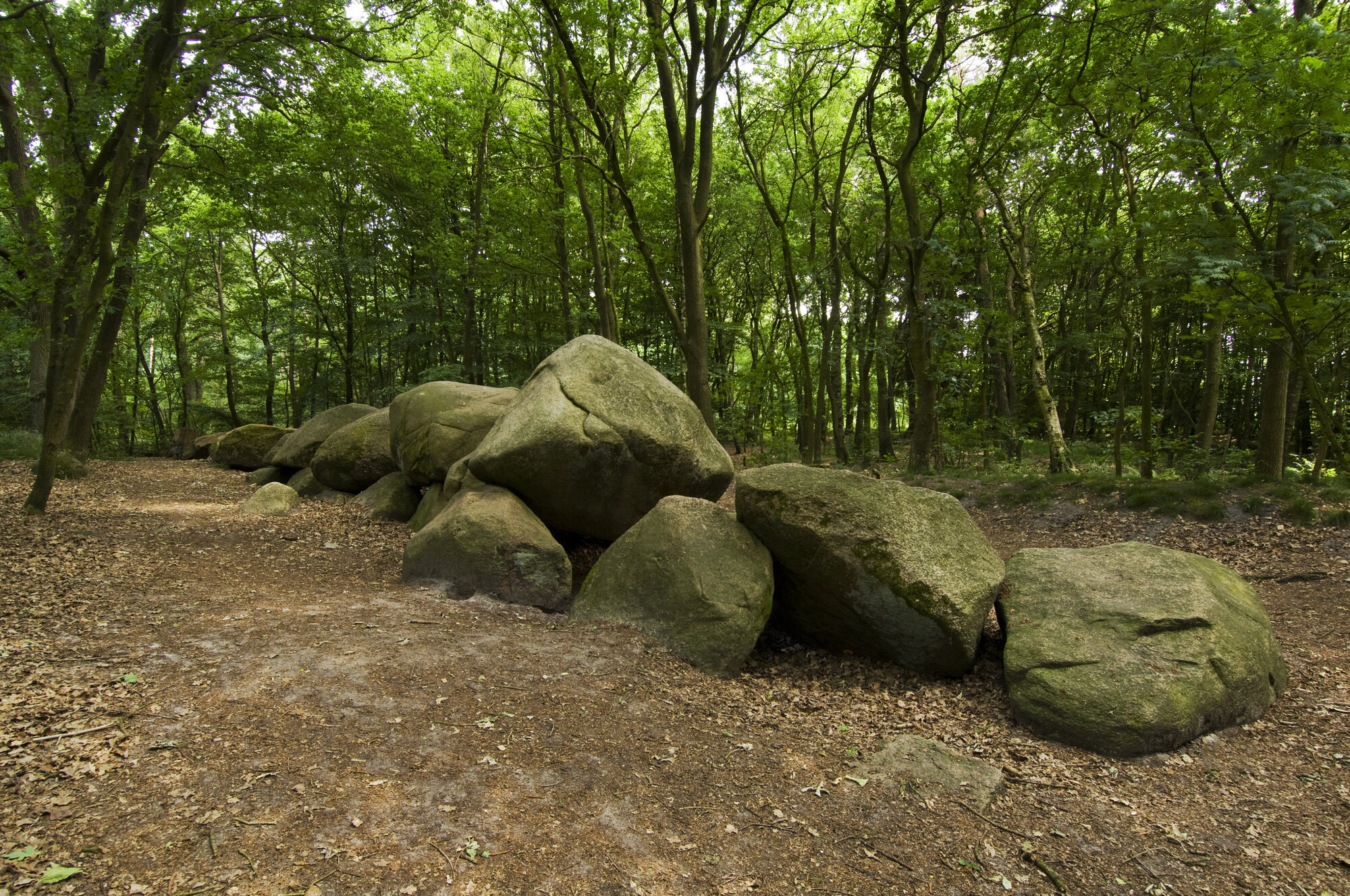 Camping Hümmlinger Land, Rastdorfer Straße 80 in Werlte