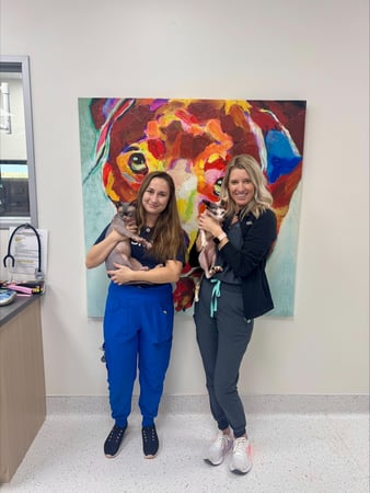 Images CityVet | Lake Worth