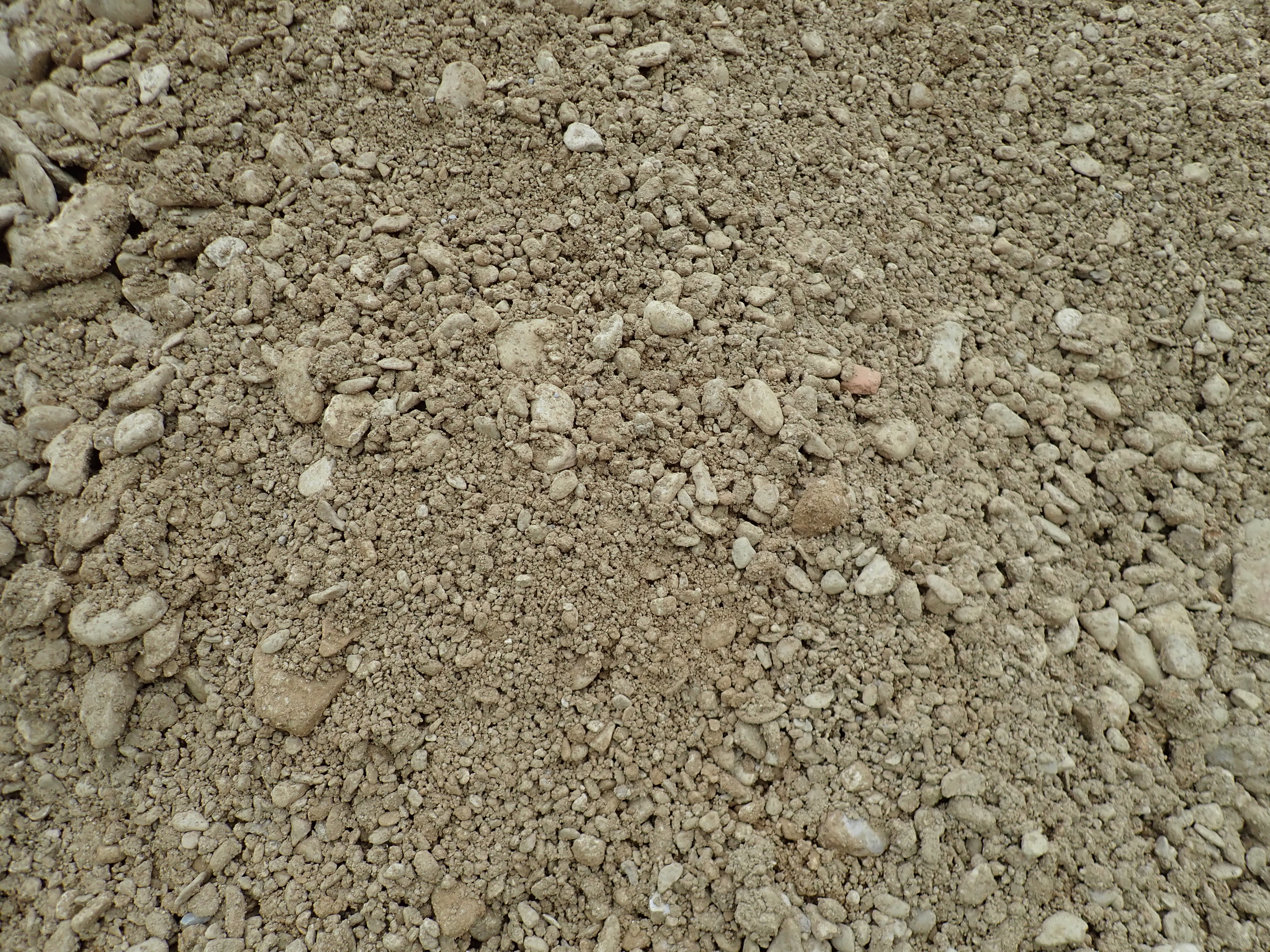 Bilder Miles Erbacher AG