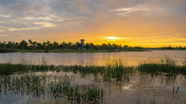 Images Oakbend Wellen Park