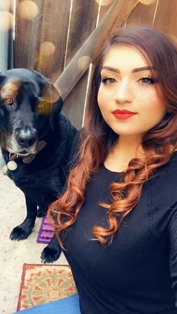 Images Del Mar Doggers dog walking, dog sitting, overnight stays