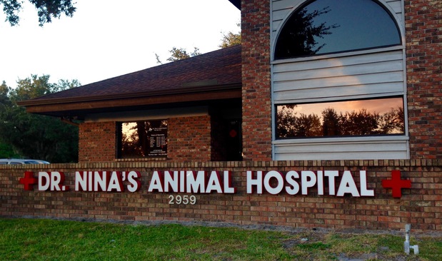 Images Dr. Nina's Animal Hospital Sarasota