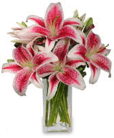 Buckner Flower Shop