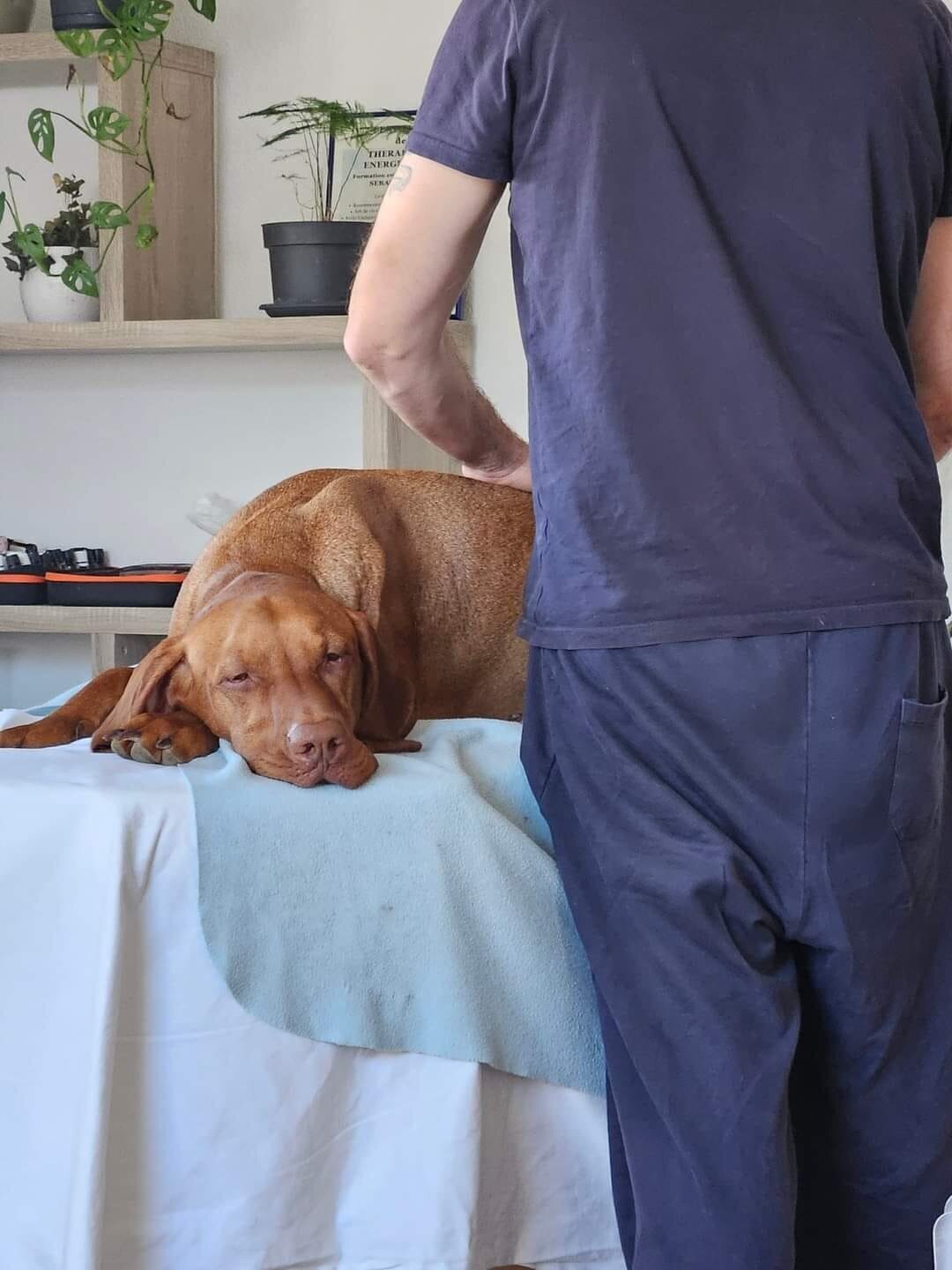 Bilder Vibra-énergie