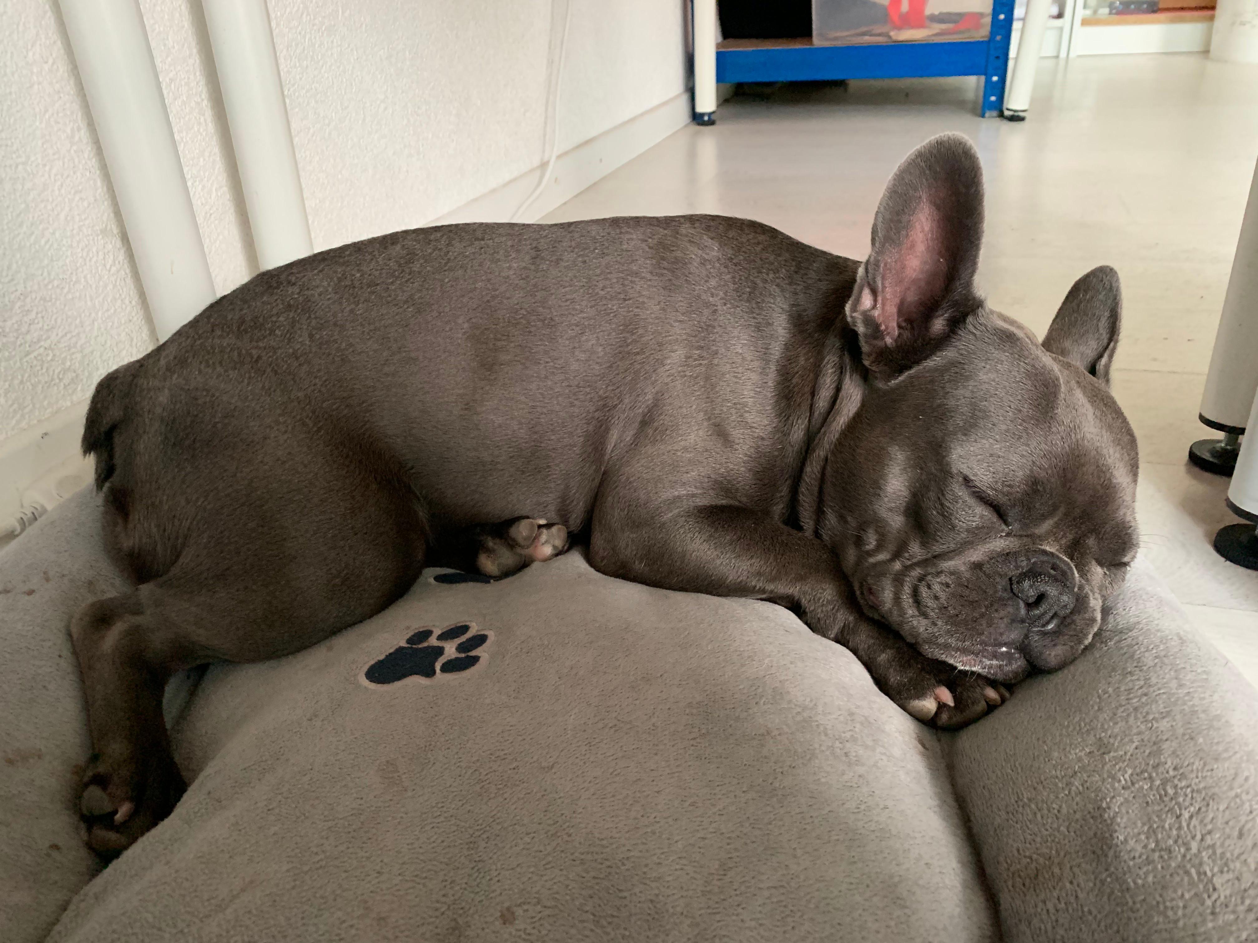 CANWAY Schweiz GmbH, Wehntalerstrasse 6 in Oberglatt