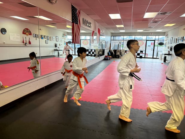 Images Jaguar Dojo