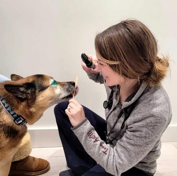 Images Petfolk Veterinary & Urgent Care - Ballantyne