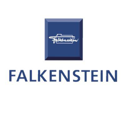 Logo Falkenstein Industrieservice GmbH