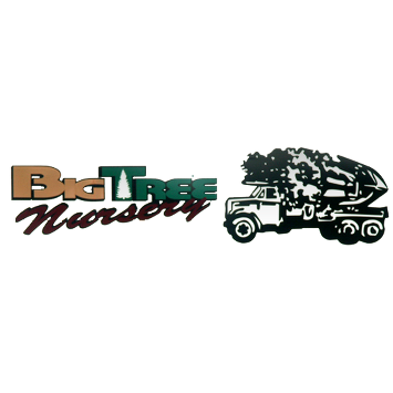 Big Tree Nursery Logo