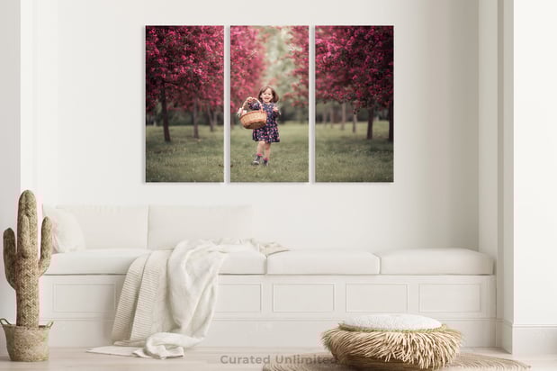 Images Canvas & Decor