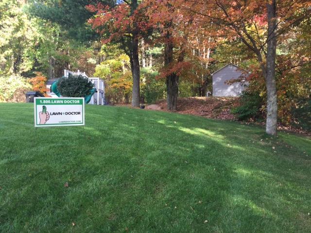 Lawn Doctor