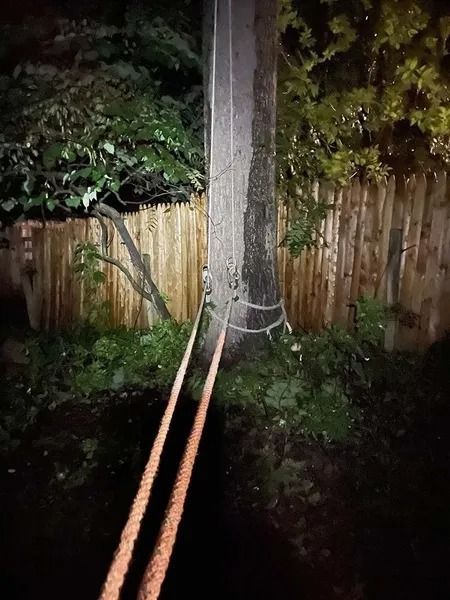 Knock On Wood Tree Service LLC Image