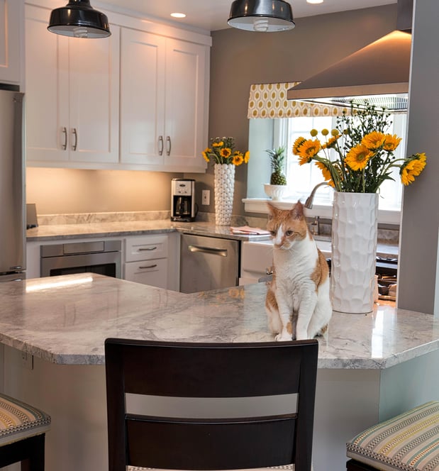 Images Performance Kitchens & Home