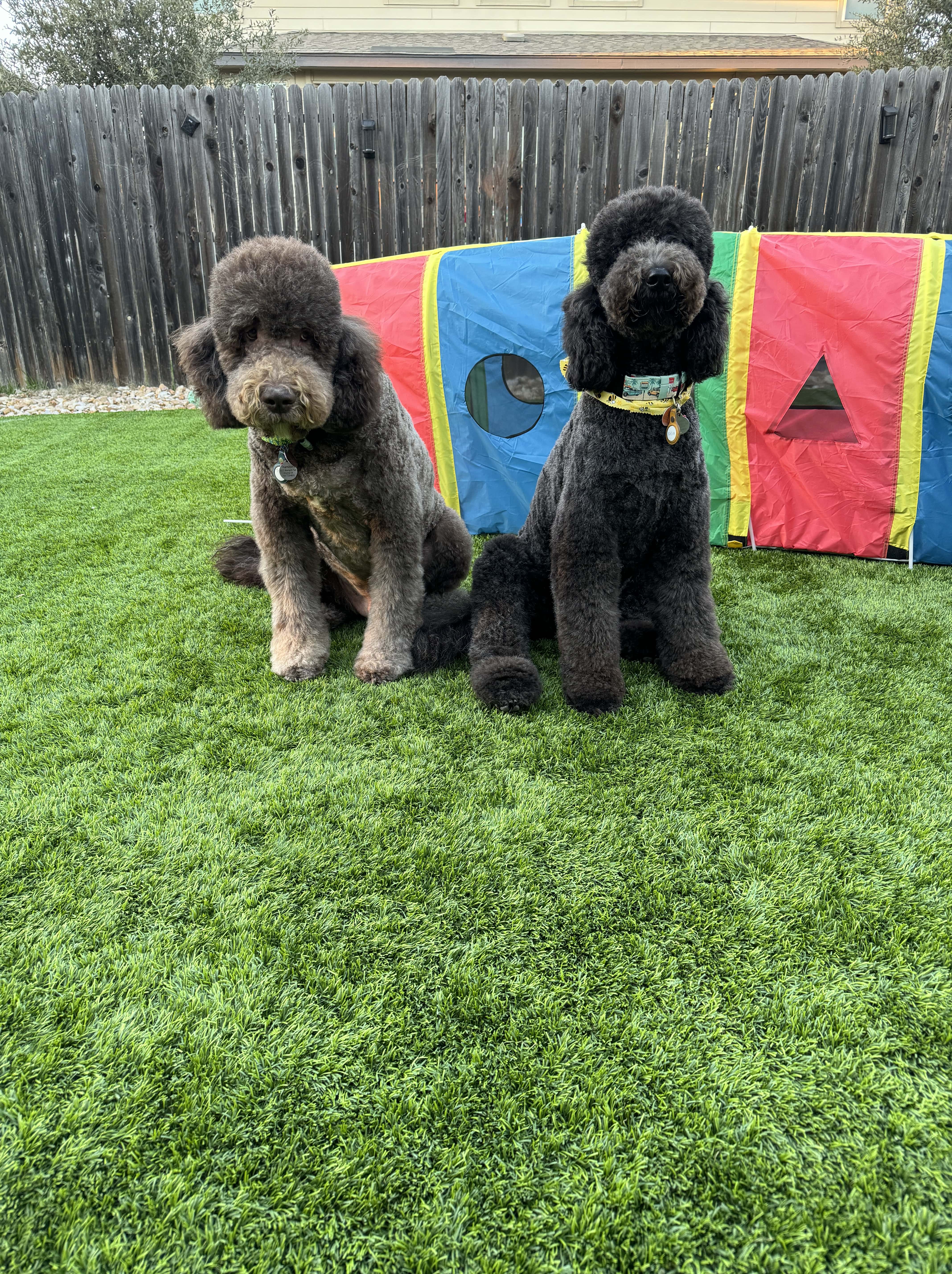 Doodle Me This Kingston and Hamilton LLC Image