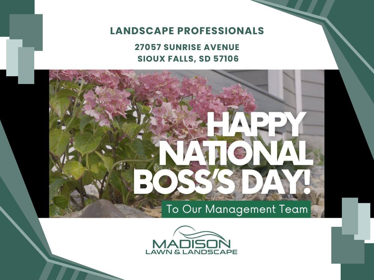 landscape professionals